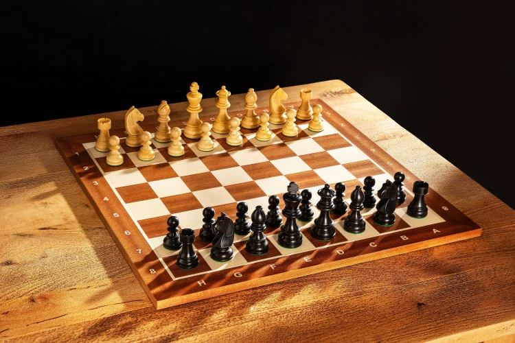 5902560351422_D50_MAH_NOTATION_5902560353501_CHI101_E350_chessboards%20and%20chess%20pieces_arr.jpg