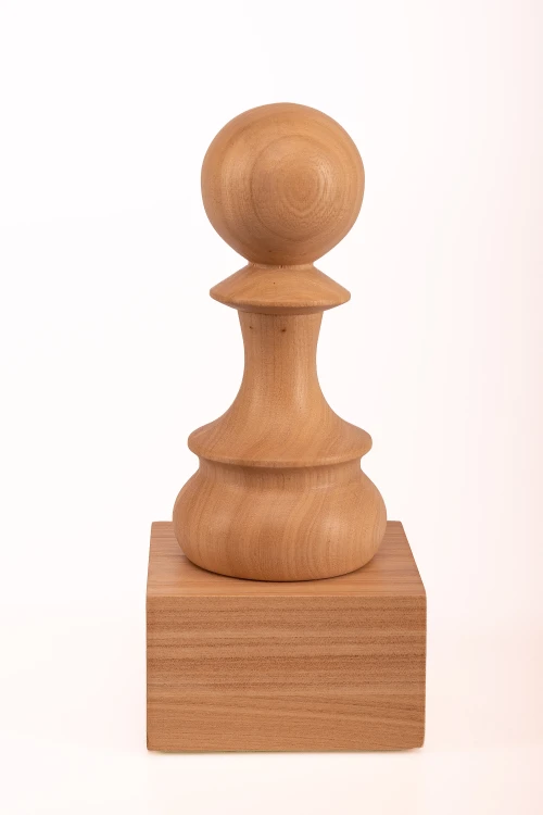 CUP_WHITE_PAWN_3.jpg