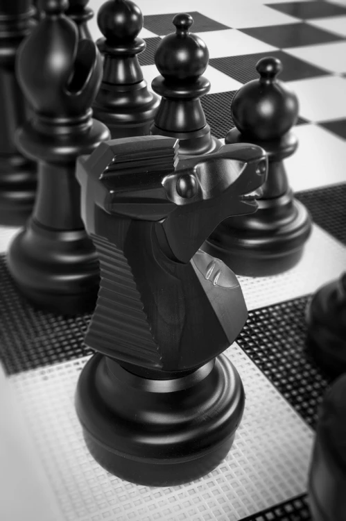 Garden_chess_knight.jpg