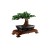 lego-creator-drzewko-bonsai.jpg