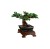 lego-creator-drzewko-bonsai.jpg
