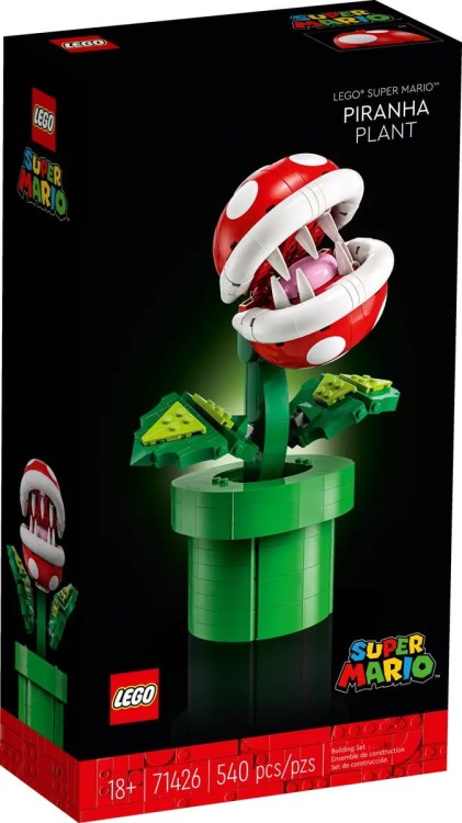 lego-super-mario-slave-i.jpg