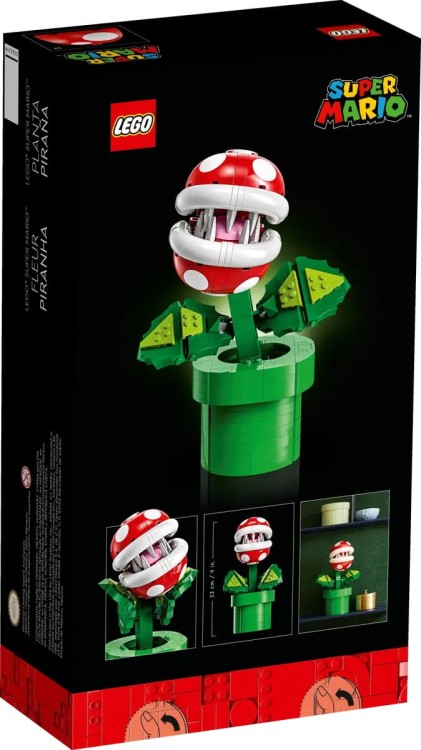lego-super-mario-slave-i.jpg