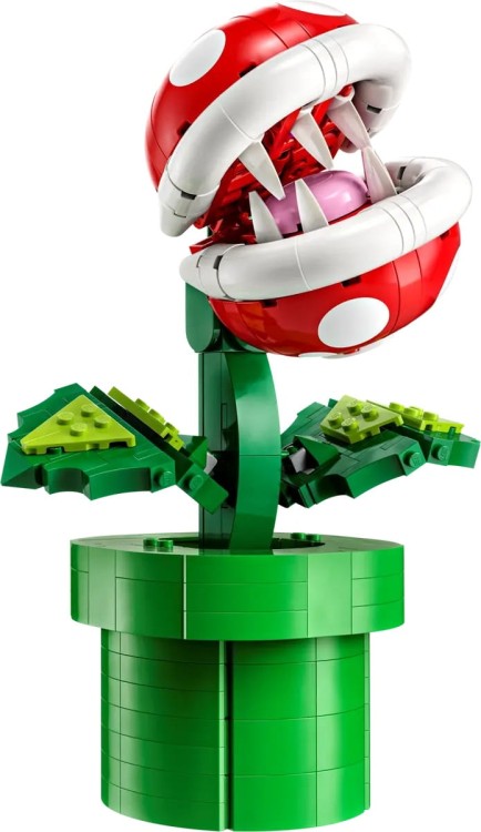 lego-super-mario-slave-i.jpg