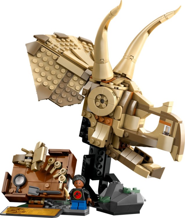 lego-jurassic-world-tbd-jurassic-world-2.jpg