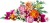 lego-botanicals-piekny-rozowy-kwiat.jpg