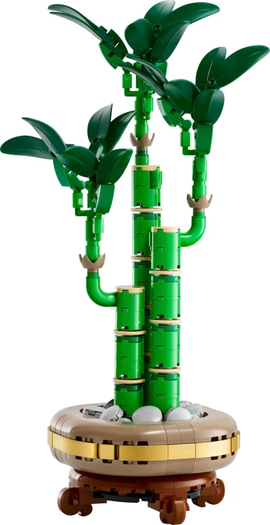 lego-botanicals-dracena-sandera.jpg