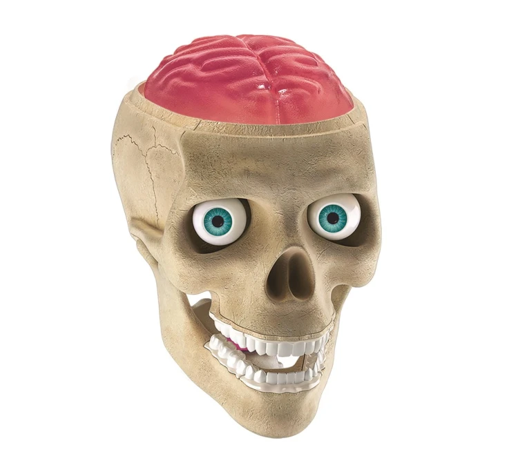 clementoni-naukowa-zabawa-anatomia.jpg
