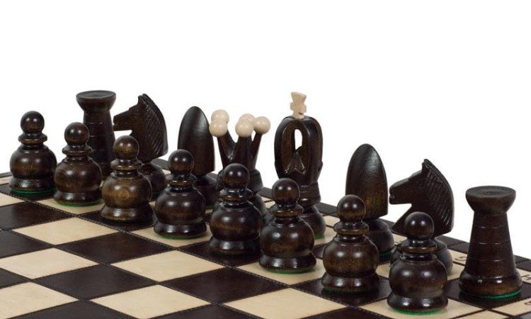 CH111 BROWN - resized (5).jpg