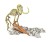 clementoni-skamienialosci-mamut.jpg