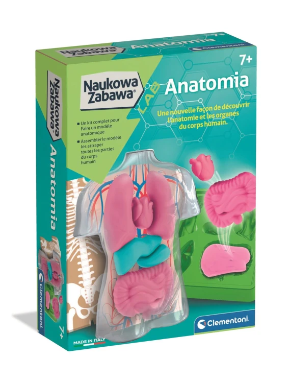 clementoni-naukowa-zabawa-lab-anatomia.jpg