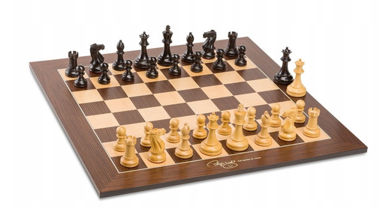 juditpolgar1.png