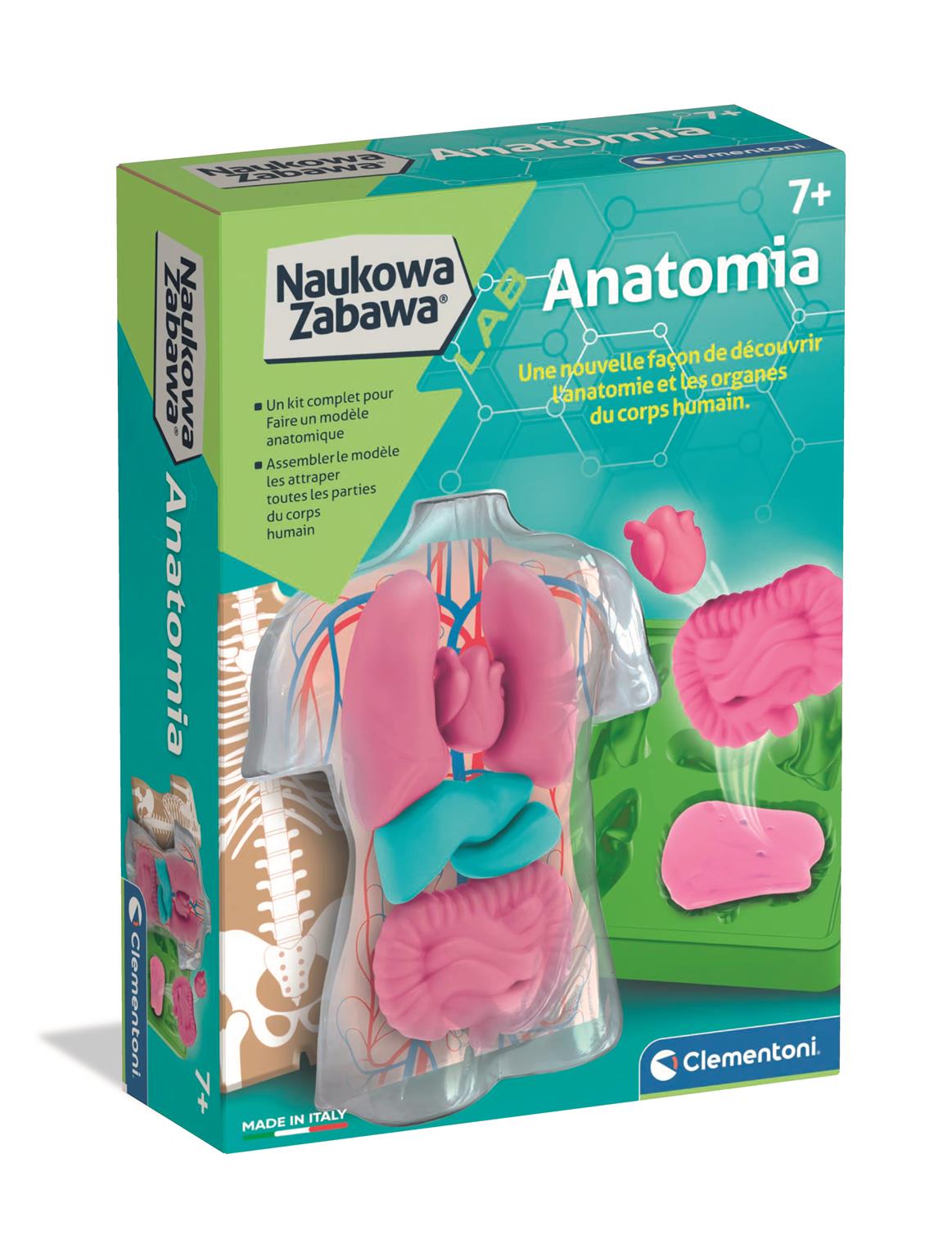 Anatomia i medycyna